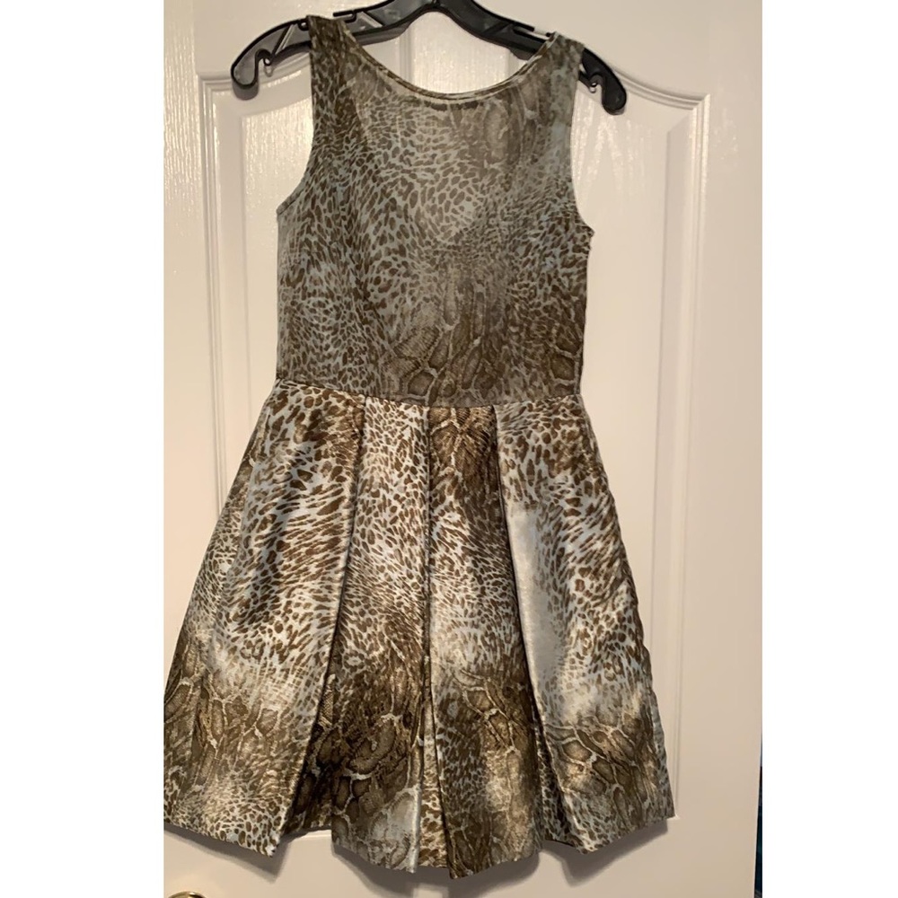 Beautiful Taylor Dress
